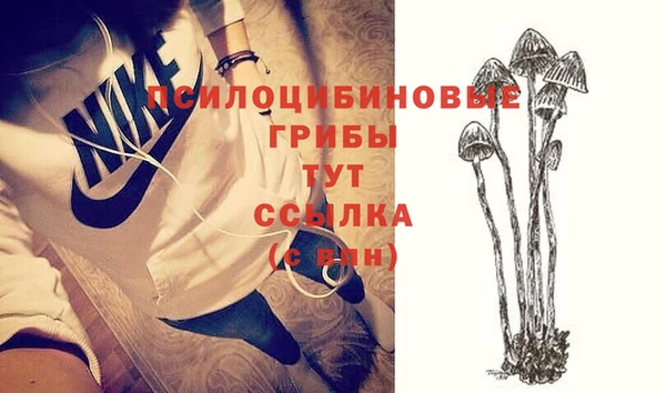 таблы Медвежьегорск