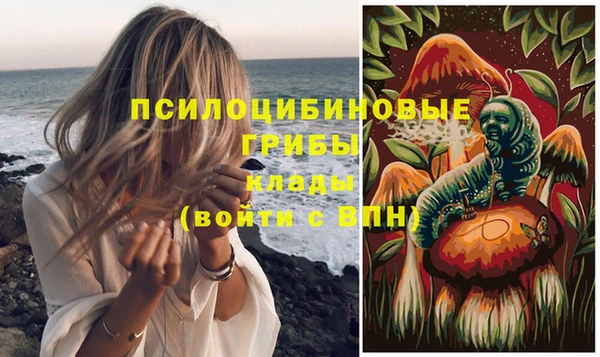 jwh Медногорск