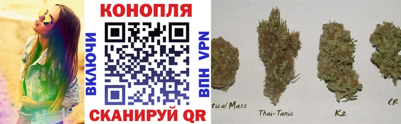 Купить где  Алушта  Бошки марихуана SATIVA & INDICA 